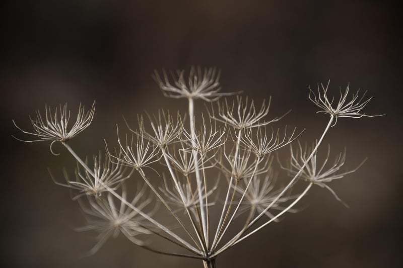 Subtle Confidences